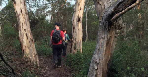 Boat Harbor Hike (7.8km) Deep creek waterfall from tapanappa lookout 600x315