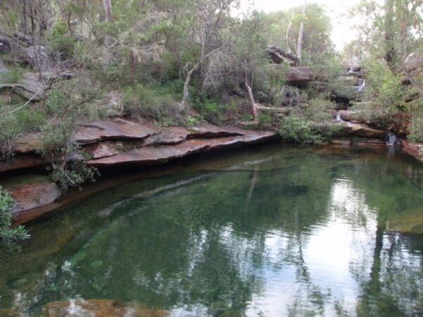 Emerald pool circuit from ironbark rd 600x450