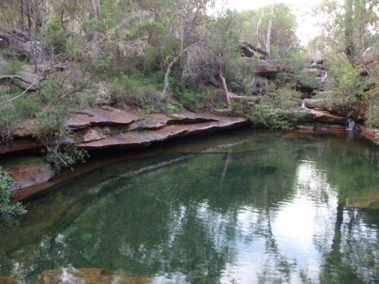 Emerald pool circuit from ironbark rd 768x576