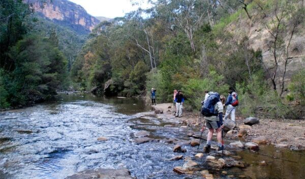 Pierces pass to blue gum forest walking track trail hiking australia 600x352