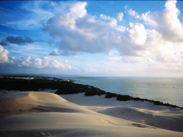 Telegraph track 600x450