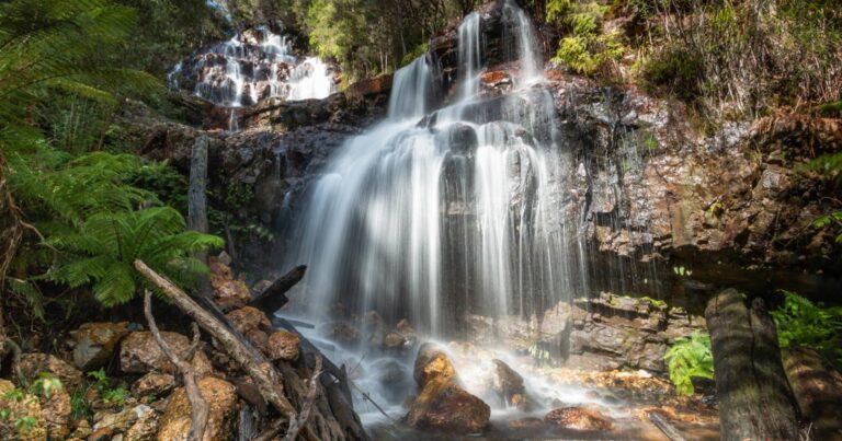 Tin Spur Falls Walk (2.1km) Tin spur falls 768x403