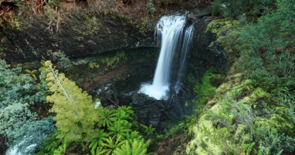 Wilsons falls 600x315