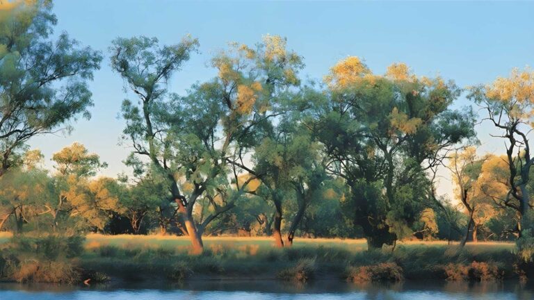 Combo waterhole trail walk (2. 6km)