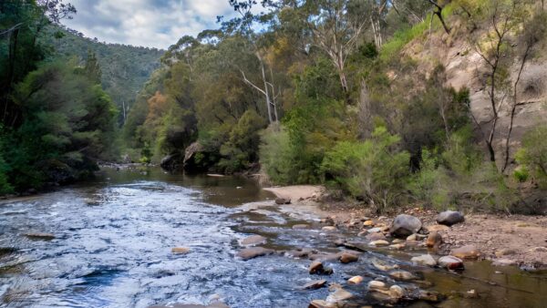 Pierces Pass to Blue Gum Forest Walking Track (16km) Pierces pass to blue gum forest walking track (16km)
