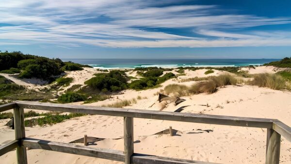 Submarine beach walking track (1km)
