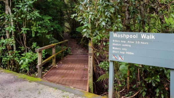 Washpool walking track (8. 5km)