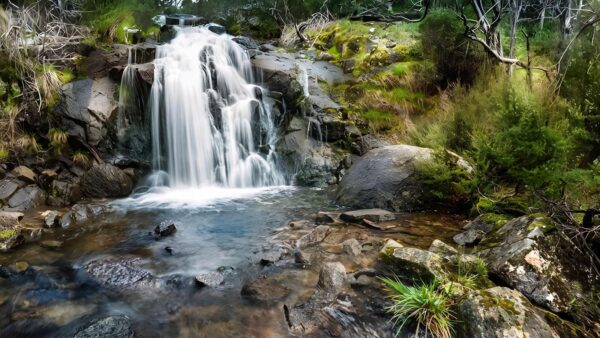 Waterfall Walking Track (6km) Waterfall walking track (6km)