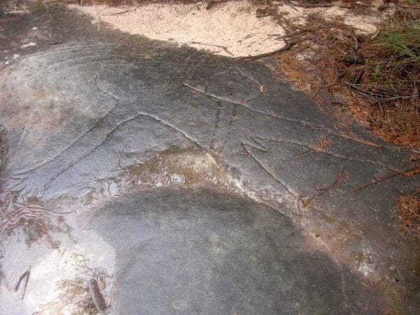 Aboriginal Heritage Walk (4.4km) Aboriginal heritage track 600x450
