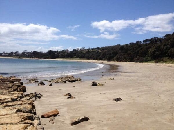 Bivouac Bay Walk (10km) Blessington track cape deliverance 600x450