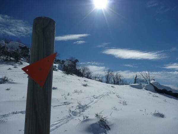 Mount piper trail 600x450