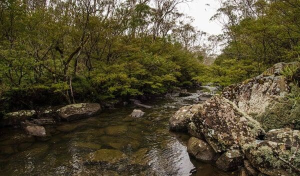 Mountaineer-Glowang Trail (15km) River walking track trail hiking australia 600x352