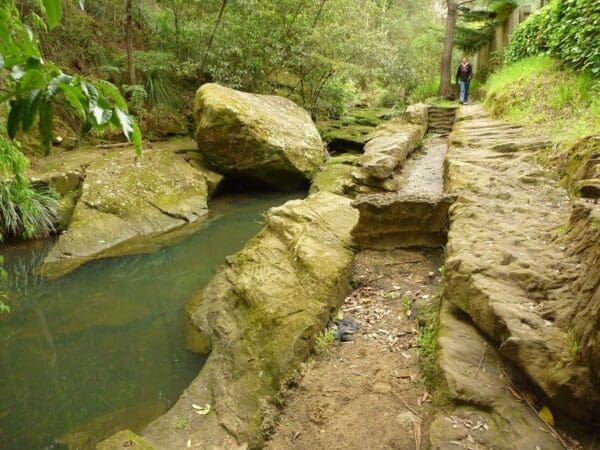 Thornleigh to hornsby 600x450