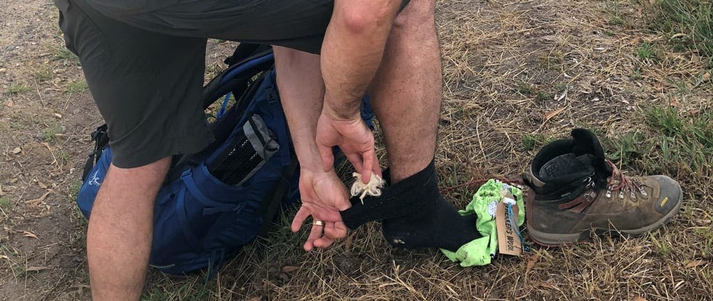 Trekkers wool trail hiking australia