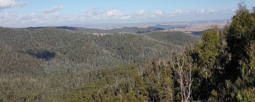 Wilhelmina Falls and Murrindindi Cascades
