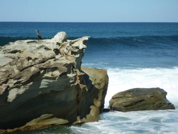 Hikes Wyrrabalong coast walk circuit 600x450