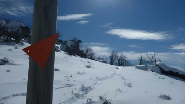 Mount piper trail walk (5. 2km)