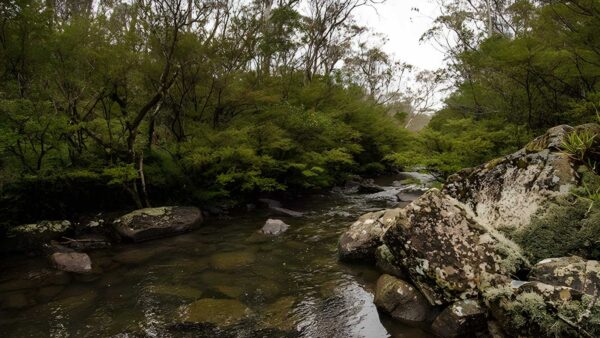 River Walking Track (2.5km) River walking track (2. 5km)