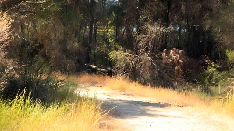 Samphire Cove Trail Walk (1.5km) Samphire cove trail walk (1. 5km)