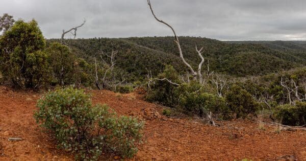 Ted Errey Nature Circuit Brisbane Ranges Ted errey nature circuit brisbane ranges