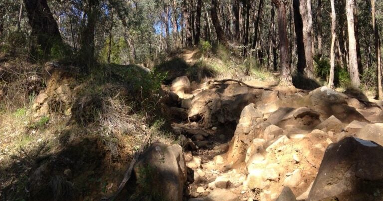 Trail hiking glasgow track 768x403