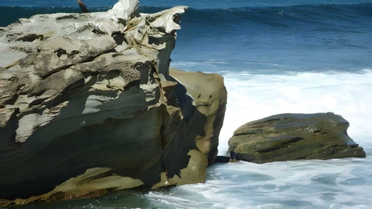 Wyrrabalong coast walk circuit hike (9. 1km)