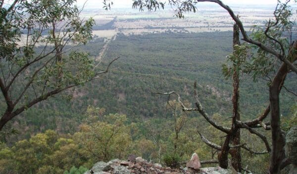 Dubbo to Molong Rail Trail (130km) Burrabadine walking track trail hiking australia 600x352