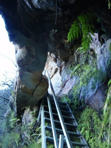 Evans lookout to junction rock 450x600
