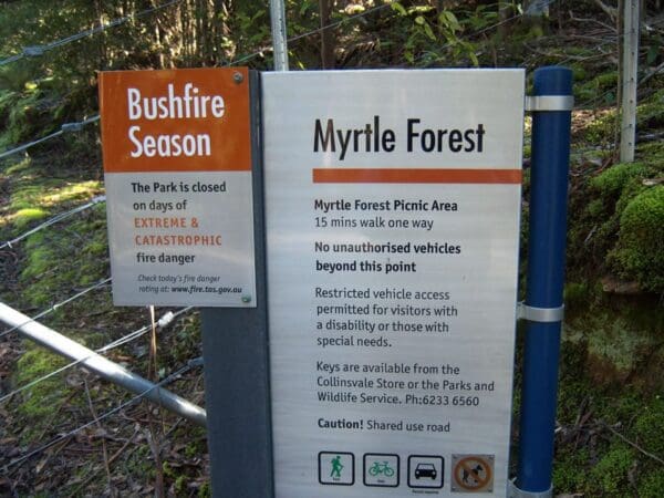 Russell Falls Track (1.6Kmm) Myrtle forest 600x450