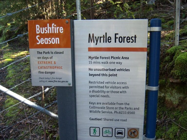 Myrtle Forest Walk (2km) Myrtle forest 768x576
