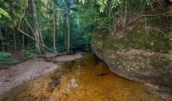 Newbys creek walk and caves trail hiking australia 600x352