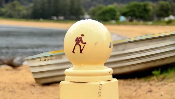 Great north walk: brisbane waterhike (38km)