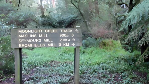 Mount worth moonlight circuit hike (8. 3km)