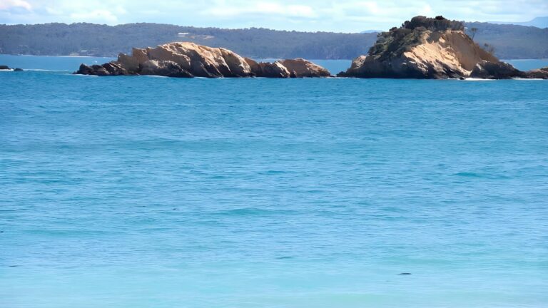 Oaky beach walking track (1. 2km)