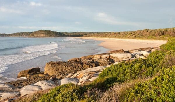 White Sands Walk & Scribbly Gum Track (2.5km) Burrawang track conjola beach to buckleys point trail hiking australia 600x352