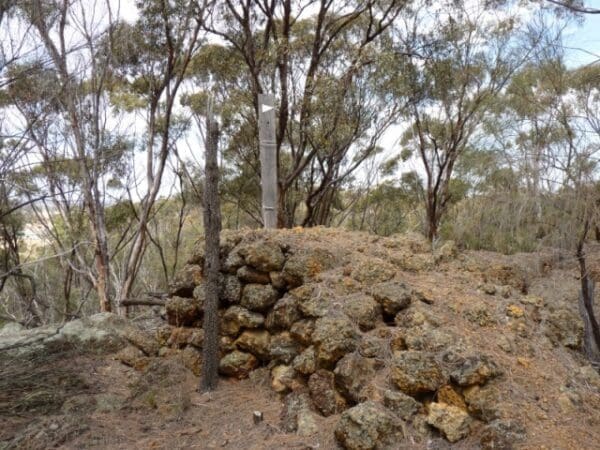 Fire tower walk 600x450
