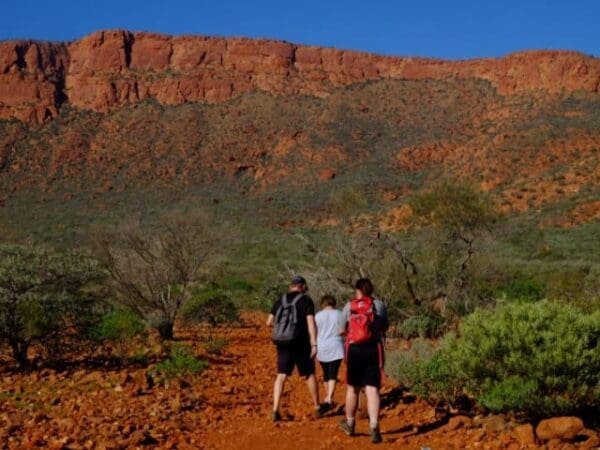 Hamersley Gorge Walk (1km) Goordgeela lookout trail 600x450