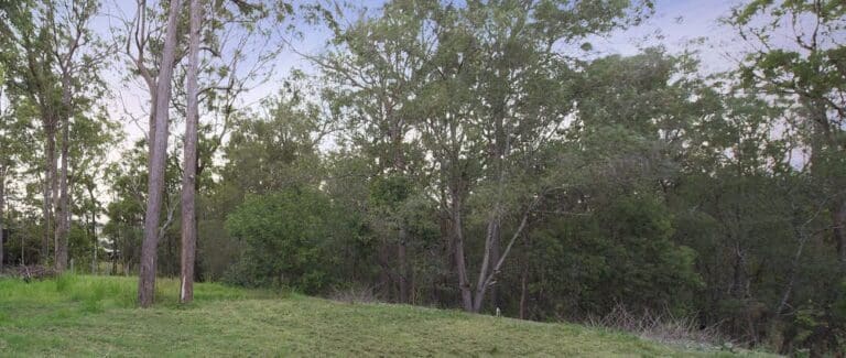Kimberley forest trail 768x325