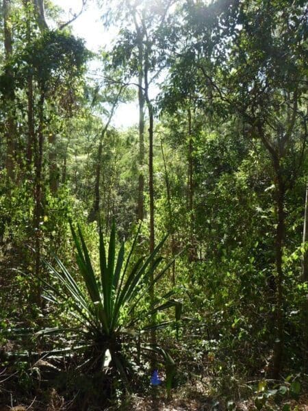 Main ridge circuit walk 450x600