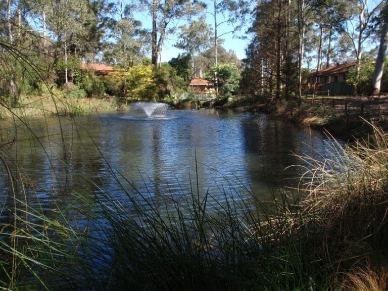 The Lakes of Cherrybrook Loop Walk (400m) The lakes of cherrybrook loop 768x576