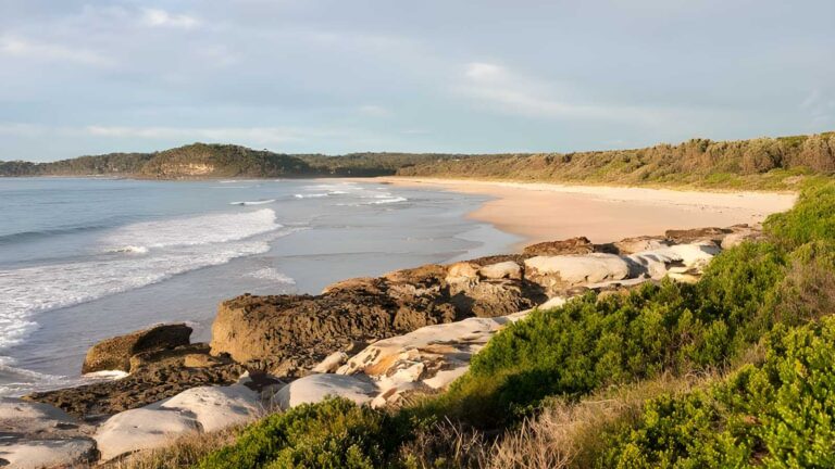 Burrawang Track - Conjola Beach to Buckleys Point Walk (2km) Burrawang track - conjola beach to buckleys point walk (2km)