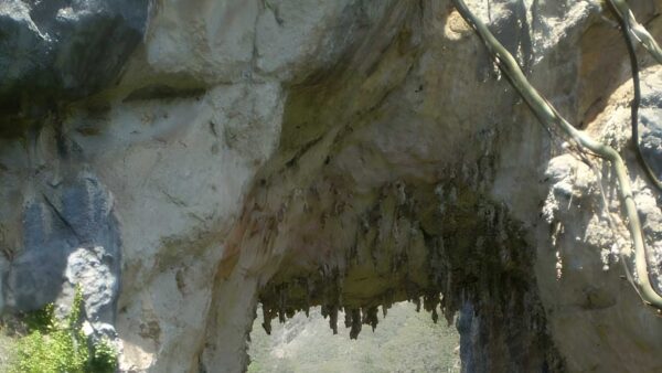 Carlotta's arch track (800m)