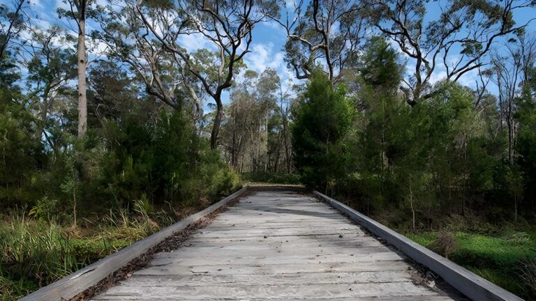 Googik heritage walking track (2km)