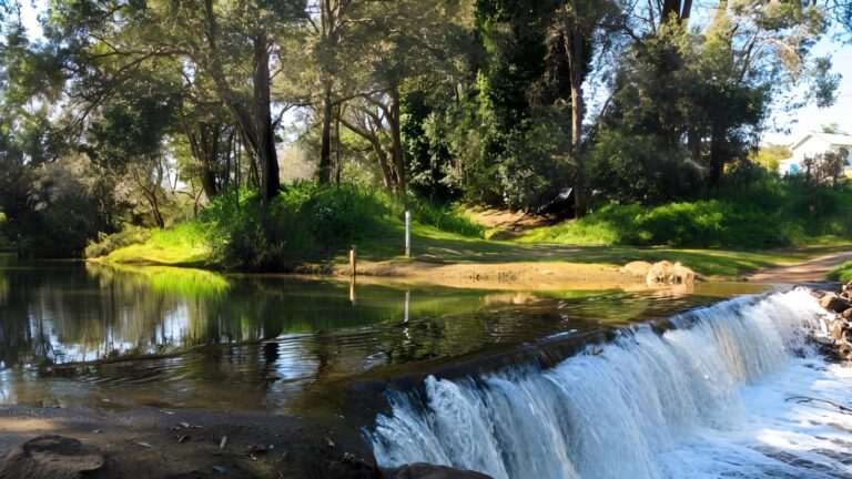 Preston River Loop & Indigenous Trail Walk (1.8km) Preston river loop & indigenous trail walk (1. 8km)