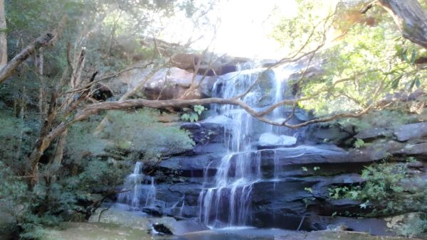 Staples lookout to kariong brook walk (5. 8km)