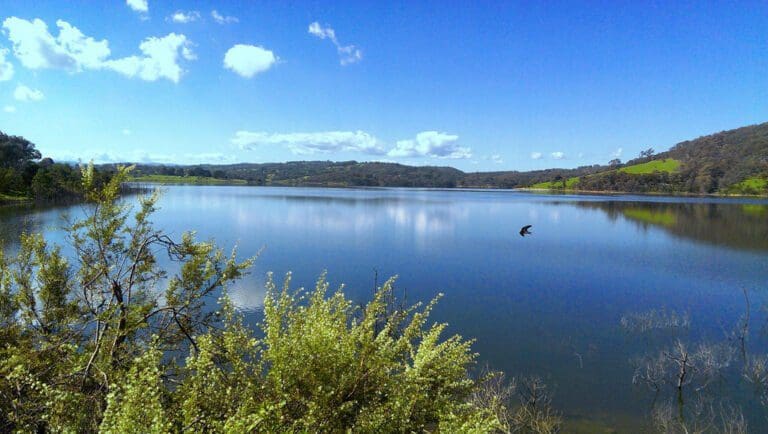 Sugarloaf & Christmas Hills Circuit Hike (15km) Trail hiking sugarloaf and christmas hills circuit 768x434