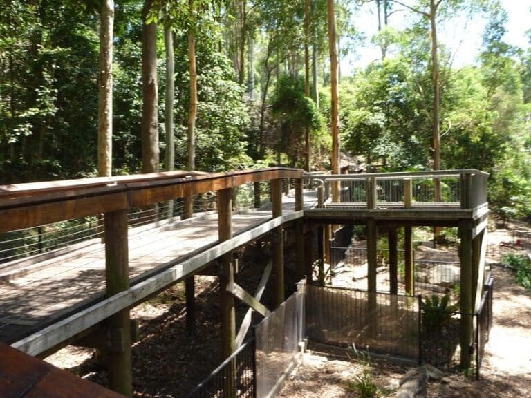 Blackbutt wildlife exhibit 768x576