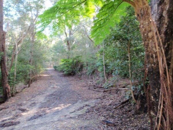 Clarinda st dog walking trail 600x450