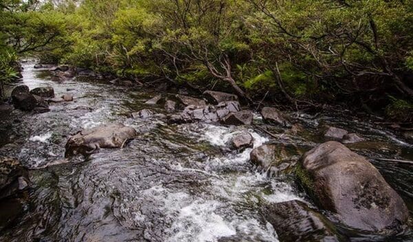 Jerusalem Creek Walking Track (4km) Gloucester river walking track trail hiking australia 600x352