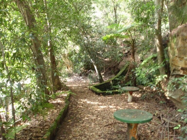 Kalkari & Birrawanna Loop Tracks Walk (5.2km) Kalkari and birrawanna loop tracks 768x576